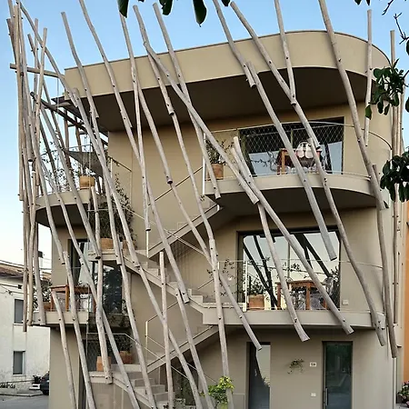 Trabocco In Campagna *
